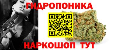 винт Сланцы