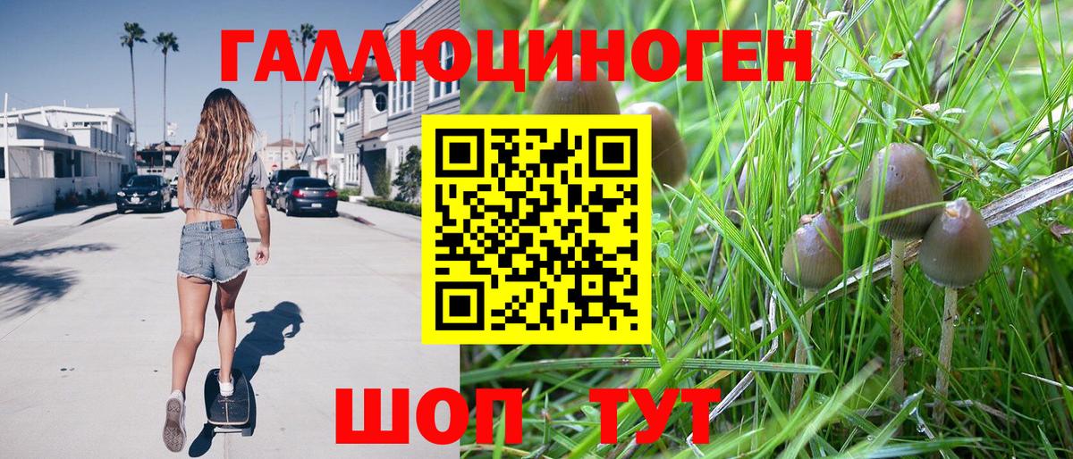Галлюциногенные грибы мицелий  Вход с VPN  Саяногорск 
